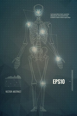 Vector skeleton modern scientific medical educational background - 179096419