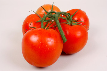 frische Tomaten