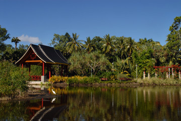 Fototapeta na wymiar Chinese Friendship Garden in Cairns, Australia