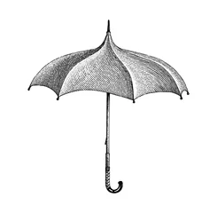 Fotobehang Vintage umbrella hand drawing engraving style © channarongsds