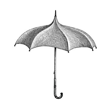 Vintage umbrella hand drawing engraving style