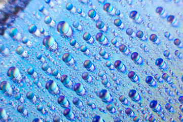 water drops, macro