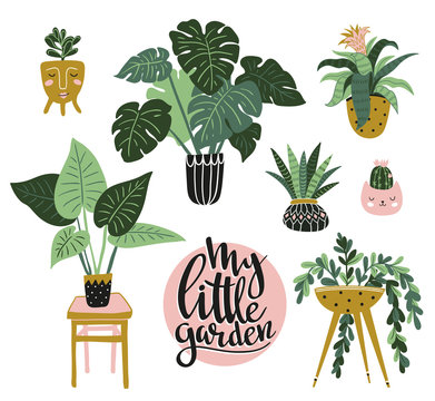 Potted  house plants isolated on the white background. Vector illustration with stylish lettering - My little garden.