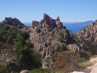 Fototapeta na wymiar Calanques de Piana, Corse