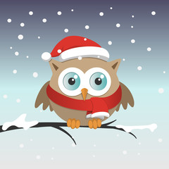 Male owl with Santa Claus hat on a branch in a snowy day