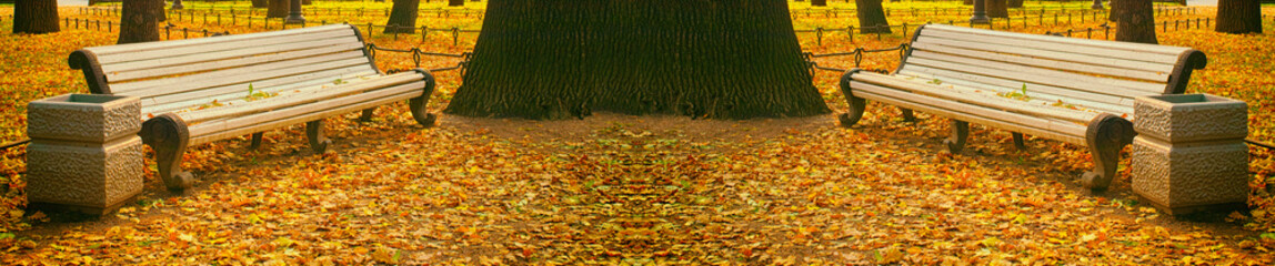 Fototapeta na wymiar Golden autumn in city garden panorama
