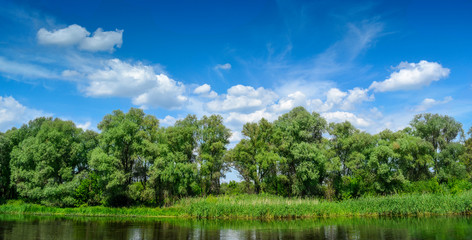 Fototapeta na wymiar Summer river with bright blue sky and clouds