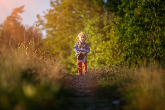 Small boy playing in autumn forest. Autumnal nature