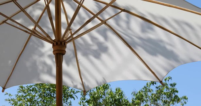 white parasol outdoor umbrella with shadow of tree in garden