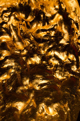 goldene wellen