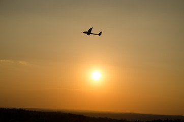 model airplane