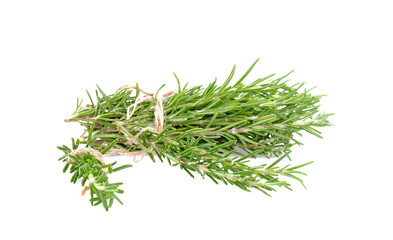 rosemary on white background