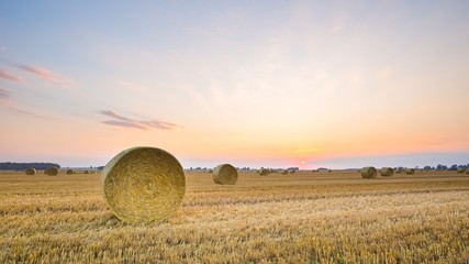 Beautiful summer landscape with straw bales on stubble field at sunset.