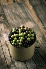 arbequina olives from Spain