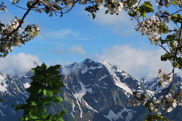 Krasnaya Polyana. Spurs