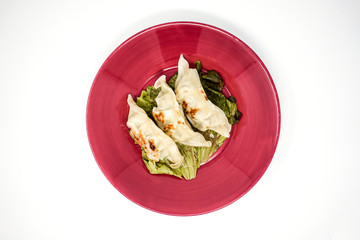 Chinese food Fried dumplings on plate