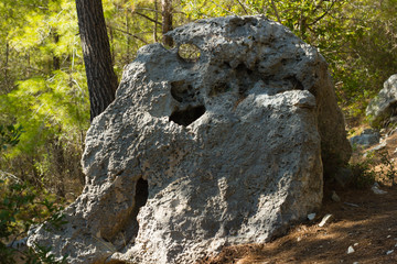Large rock on coastal trail for hiking in pine tree forest near Kemer, Turkey