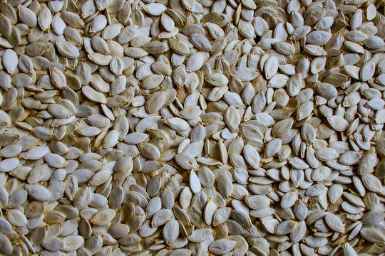 pumpkin seeds, background.