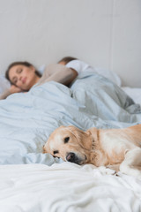 Dog sleeping on bed with young couple