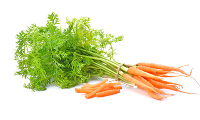 baby carrot on white background