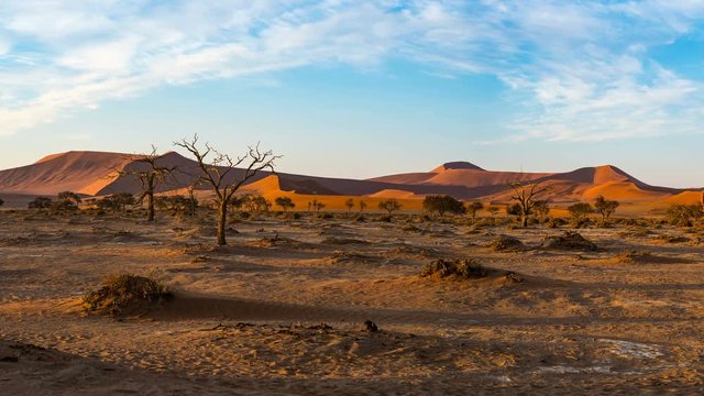 Panorama on colorful sand dunes and scenic landscape at Sossusvlei in the Namib desert, Namib Naukluft National Park, tourist destination in Namibia. Travel adventures in Africa. 