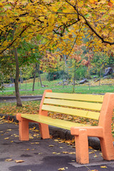 Wooden bench in the city park in autumn