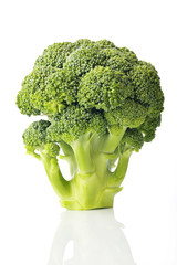 Fresh Green Broccoli Isolated on White Background Shot in Studio