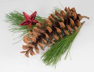 Pine cone and star on White Pine bough