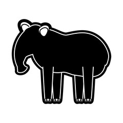 flat line  monchromatic  tapir over  white background  vector illustration