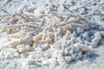 Fototapeta na wymiar All objects in Baskunchak lake covered with salt. Water contains minerals.