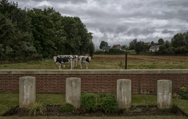 Cimetière britannique de la Grande Guerre à Fricourt, Somme, France