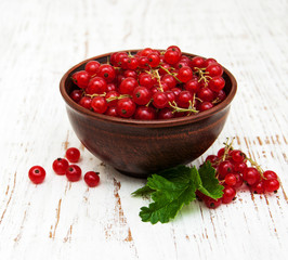 fresh red currant