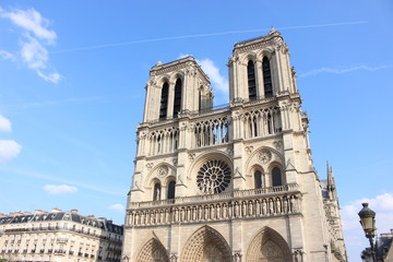 Fototapeta premium Notre dame de Paris Cathedral 