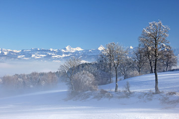 Winter, Längenberg, Alpen, Schweiz 