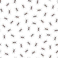 Vector seamless pattern with ants