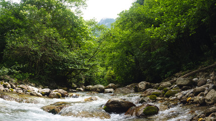 Fototapeta na wymiar Panorama of a mountain river in the Caucasus around the trees