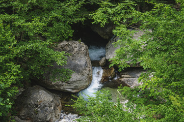 Mountain river in the Caucasus around the trees