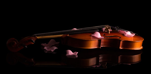 Fototapeta na wymiar Beautiful violin with rose petals, isolated on a black