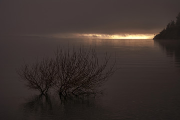 Fototapeta na wymiar Dawn with mist