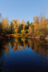 Fall colors around Moose Lake in Northern Idaho
