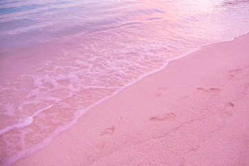  Pink sand beach on Harbour Island, Bahamas. Bahamas Pink sand beach. Amazing tropical beach in...