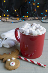 Cocoa in a red Cup and mittens.