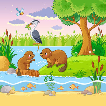 Vector set with animals and nature in a children's style. Beavers are near the dam. The heron holds the frog in its beak.