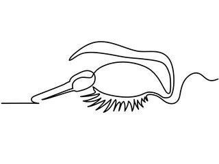 Continuous line drawing. Woman eye make up. Vector illustration
