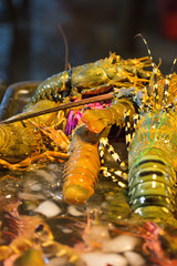 Variety of fresh salted water prawn and lobster on sale at seafood restaurant in Kota Kinabalu city, Sabah is a famous place in seafood sources in Malaysia.