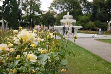 rosary and fountain in Gorky Park, Moscow