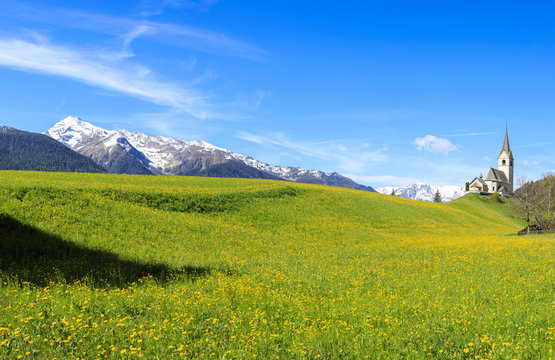 Panoramic of valley covered with yellow flowers, Schmitten, District of Albula, Canton of Graubunden