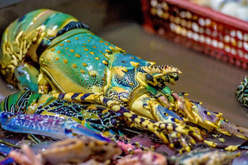 Variety of fresh salted water prawn and lobster on sale at seafood restaurant in Kota Kinabalu city, Sabah is a famous place in seafood sources in Malaysia.