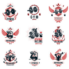 Fototapeta na wymiar Vector weightlifting theme logotypes and inspirational leaflets collection made using dumbbells, barbells, disc weights sport equipment and strong man perfect body.