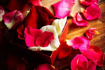 Many rose petals inside open gift box and scattered on old vintage wooden plates. Sweet holiday background with rose petals.